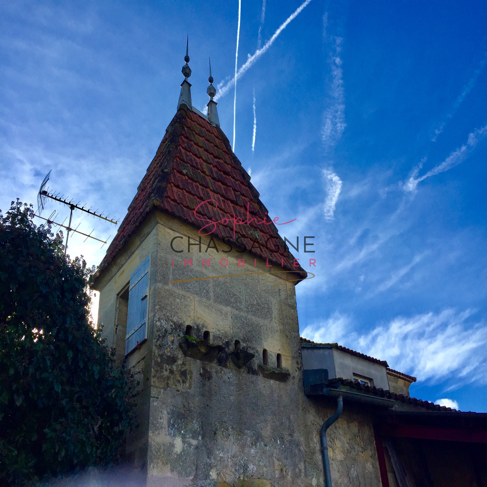 Image_, propriété viticole, Saint-Magne-de-Castillon, ref :6340